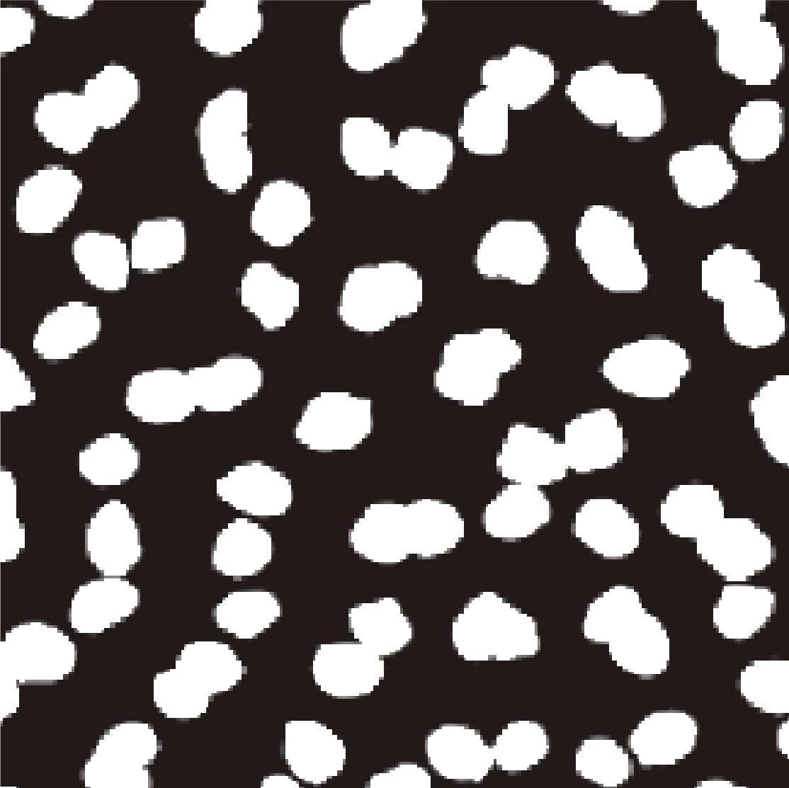 Tracy Womens Breeze Mesh Leggings - Black Speckle