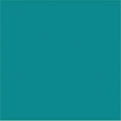 Female Outlet DYE Scrunch Seamless Leggings - Flora Green Womens