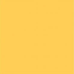 Female Outlet DYE Scrunch Seamless Shorts - Sunny Yellow