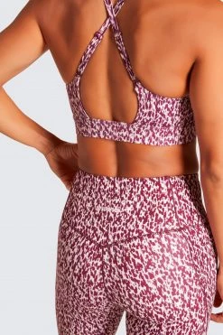 Female Outlet Womens Excel+ Leggings - Wild Berry