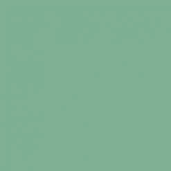 Aivory Genesis Athletic Shorts V2 - Mint Mens