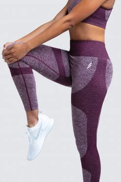 Female Outlet Womens Impact Seamless Leggings - Plum Purple