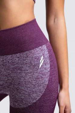 Female Outlet Womens Impact Seamless Leggings - Plum Purple