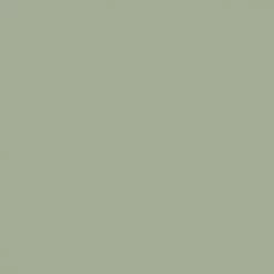 Rita Marked Baseball Cap - Stone Green Accessories