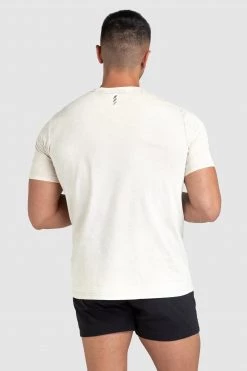 Aivory Origin Acid Wash Regular Fit Tee - Light Taupe Mens