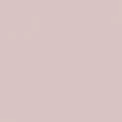 Male Outlet Planet Shorts - Beige