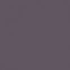 Aivory Planet Shorts - Charcoal