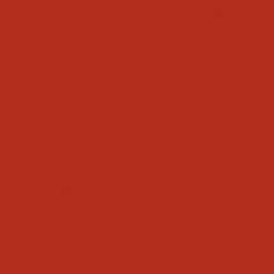 Aivory Mens Planet Shorts - Copper