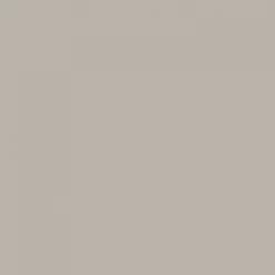 Aivory VictoryDrip Drop Tee - Leave Your Mark - Light Taupe Mens