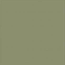 Female Outlet VictoryDrip Tank - Pushed My Limits - Sage